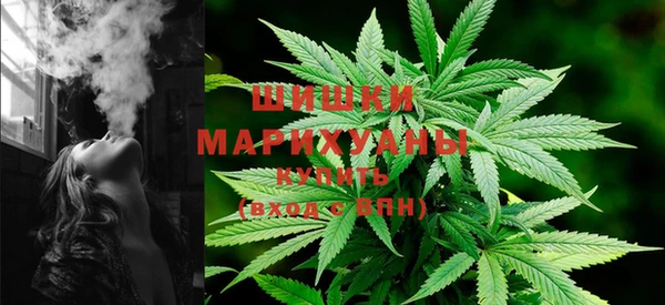 гашик Бородино