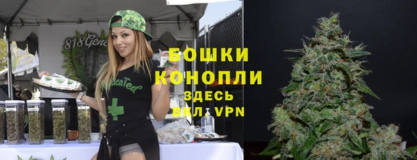 гашик Бородино