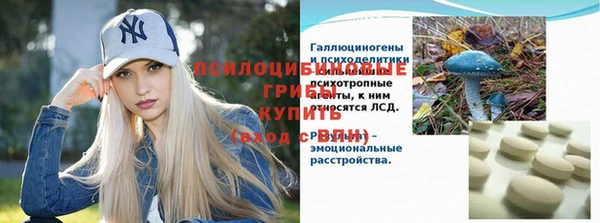 ECSTASY Бронницы