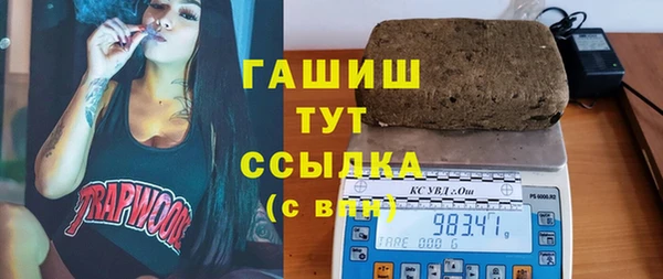 гашик Бородино