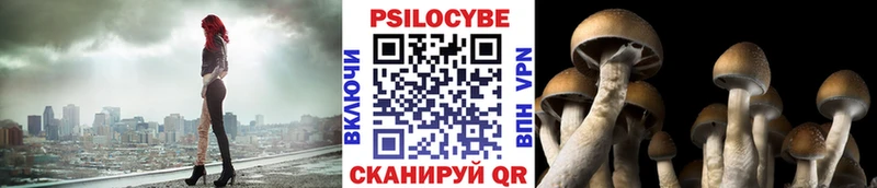 Псилоцибиновые грибы MAGIC MUSHROOMS  что такое наркотик  Можга 
